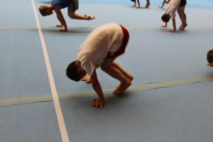 IMG 0598
